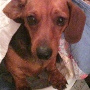 Meet your Posher, Cathy